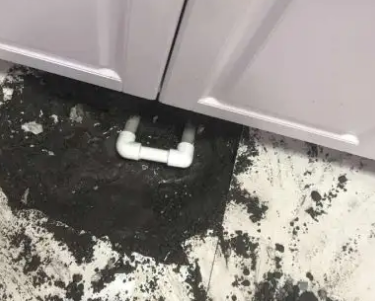 屏南查漏水哪家好